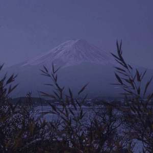 ASS老太奶大泬PicS
