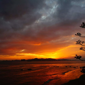 ASS老太奶大泬PicS
